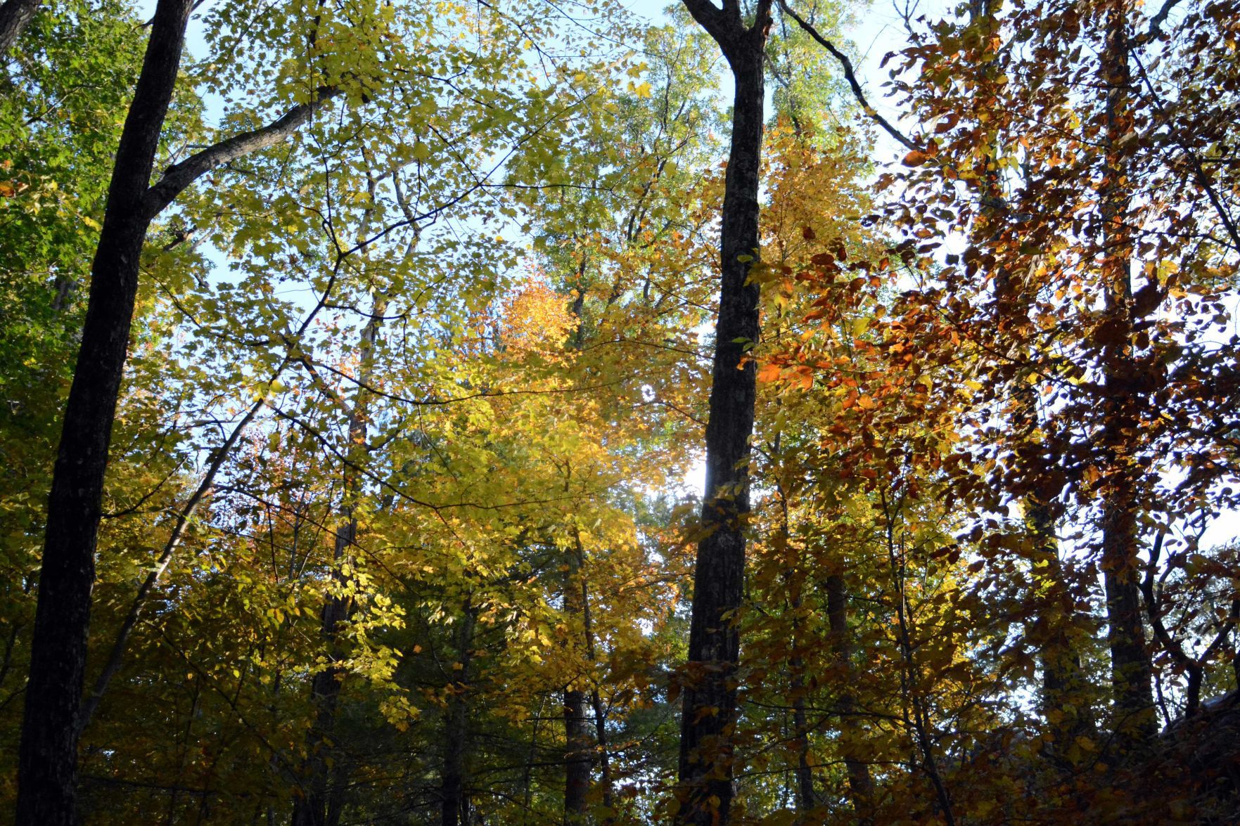 Devil's Lake shows autumn colors, Oct. 18